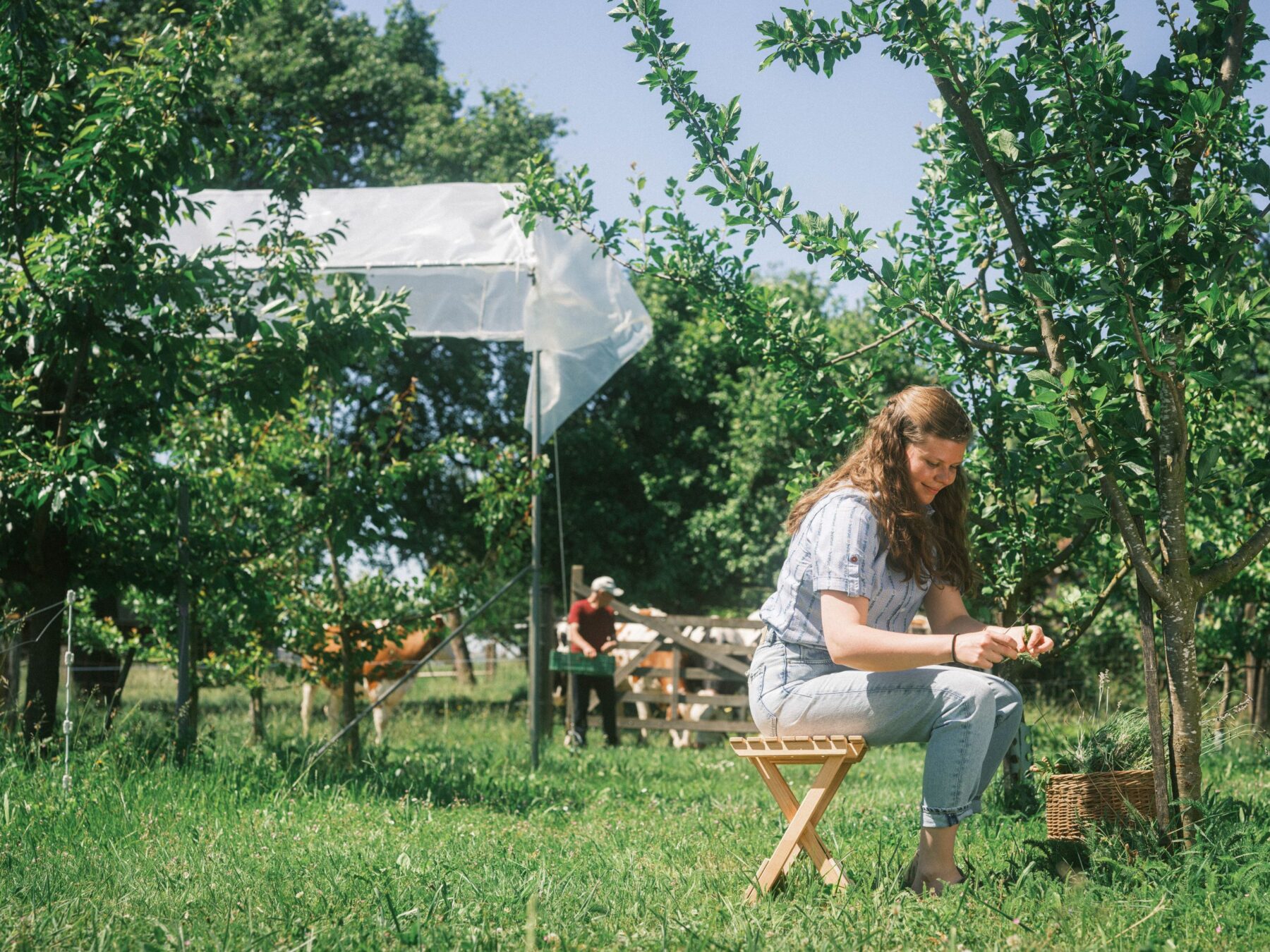 21 – TOVA-Chair_campaign-3769